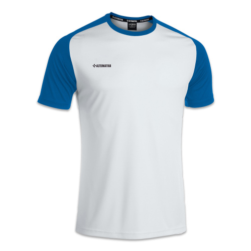 фото Alternativa майка футбольная REGLAN ATSR22-1040 бело-синяя картинка