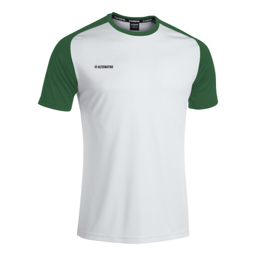 фото Alternativa майка футбольная REGLAN ATSR22-1080 бело-зеленая картинка